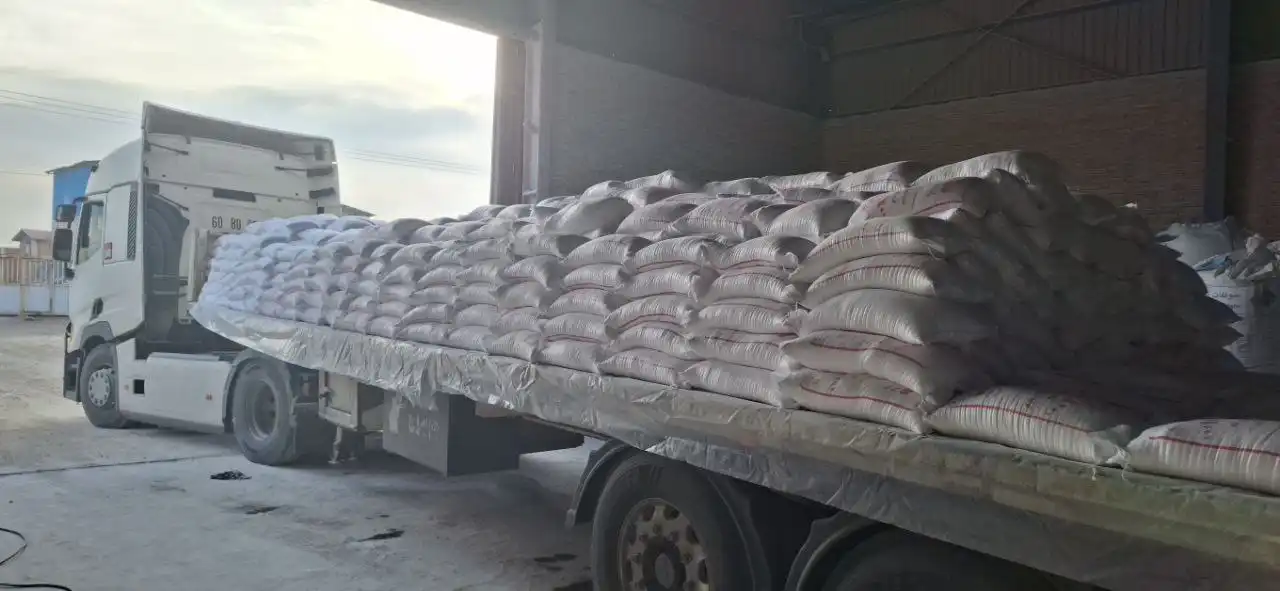 قیمت نمک پودری صادراتی