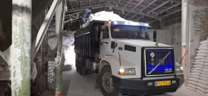 نمک پودری استخر پرورش ماهی